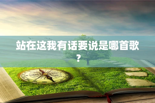 站在这我有话要说是哪首歌？