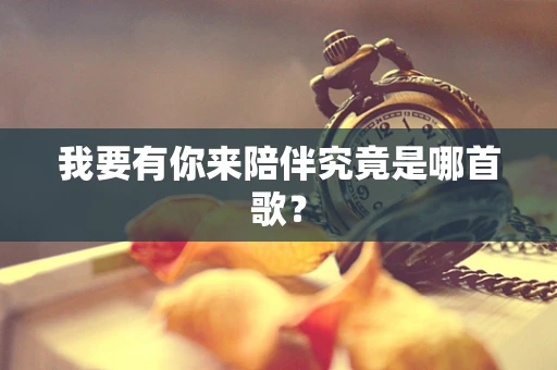 我要有你来陪伴究竟是哪首歌？