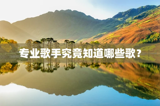 专业歌手究竟知道哪些歌？