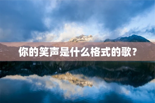 你的笑声是什么格式的歌？
