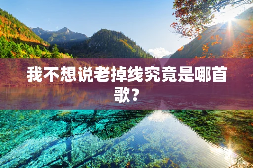我不想说老掉线究竟是哪首歌？