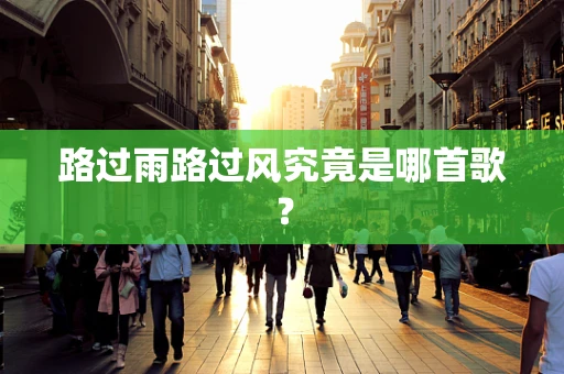 路过雨路过风究竟是哪首歌？