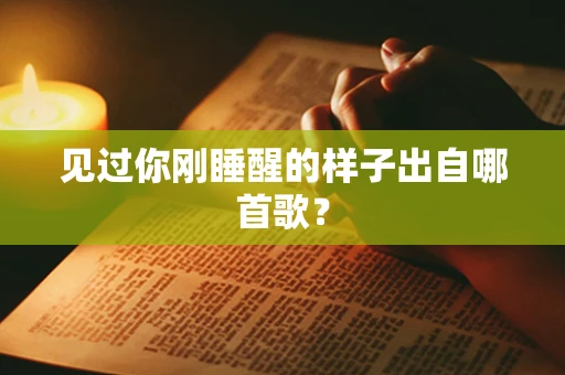 见过你刚睡醒的样子出自哪首歌？