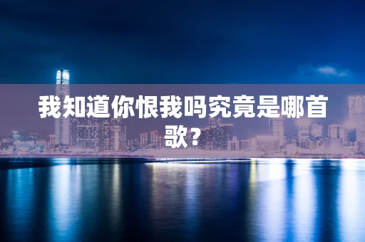 我知道你恨我吗究竟是哪首歌？