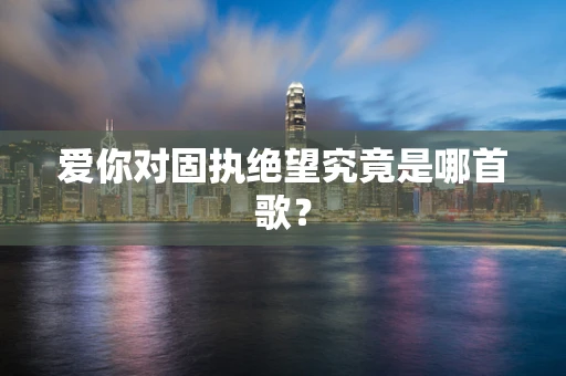 爱你对固执绝望究竟是哪首歌？
