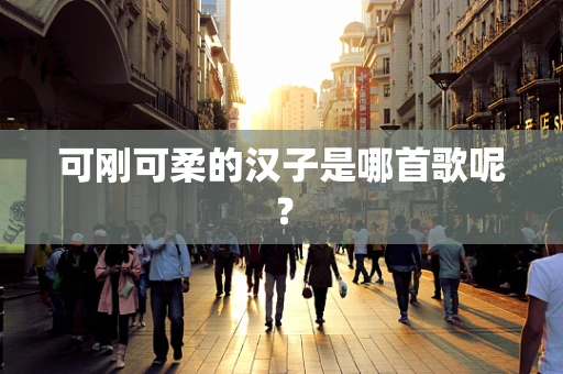 可刚可柔的汉子是哪首歌呢？