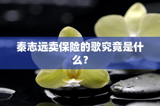 秦志远卖保险的歌究竟是什么？