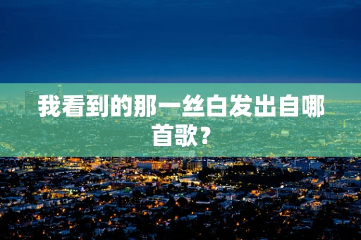 我看到的那一丝白发出自哪首歌？