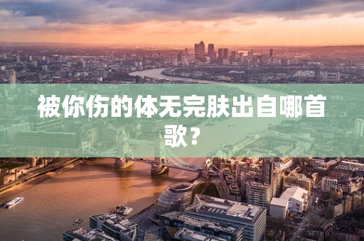 被你伤的体无完肤出自哪首歌？