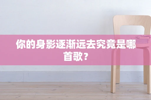 你的身影逐渐远去究竟是哪首歌？