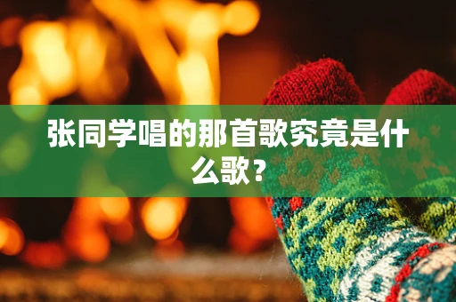 张同学唱的那首歌究竟是什么歌？