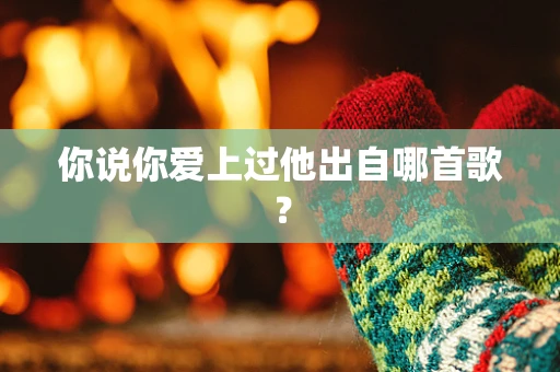 你说你爱上过他出自哪首歌？