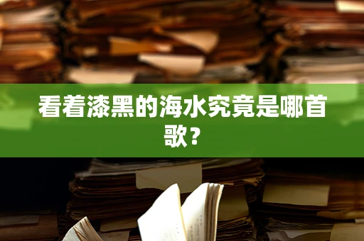 看着漆黑的海水究竟是哪首歌？