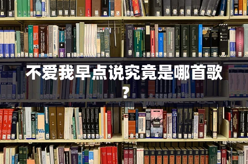 不爱我早点说究竟是哪首歌？