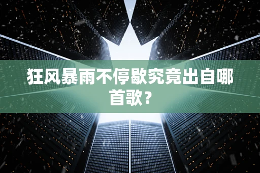 狂风暴雨不停歇究竟出自哪首歌？