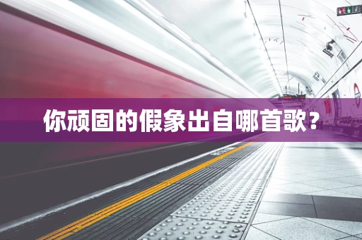 你顽固的假象出自哪首歌？