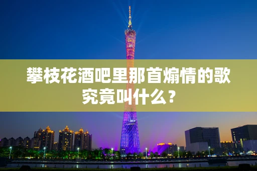 攀枝花酒吧里那首煽情的歌究竟叫什么？