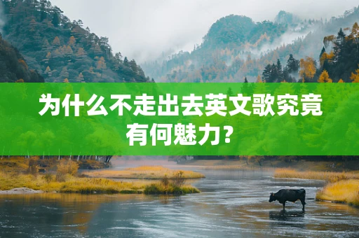 为什么不走出去英文歌究竟有何魅力？