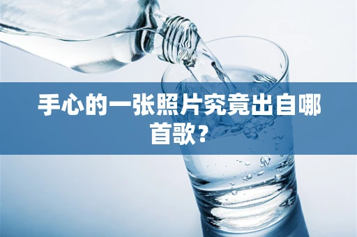 手心的一张照片究竟出自哪首歌？