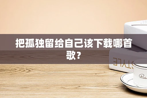 把孤独留给自己该下载哪首歌？