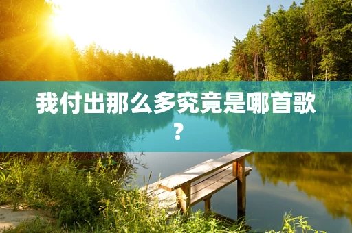 我付出那么多究竟是哪首歌？