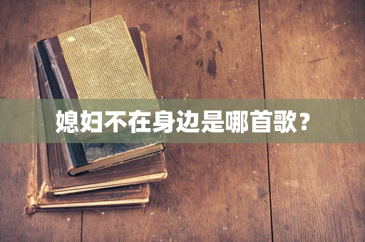 媳妇不在身边是哪首歌？