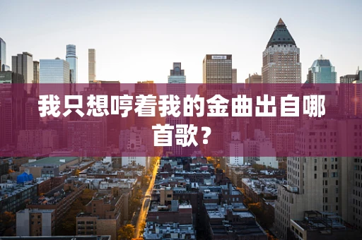 我只想哼着我的金曲出自哪首歌？