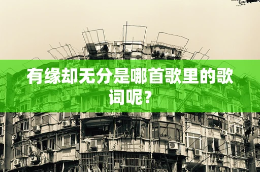 有缘却无分是哪首歌里的歌词呢？