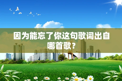因为能忘了你这句歌词出自哪首歌？