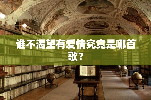 谁不渴望有爱情究竟是哪首歌？