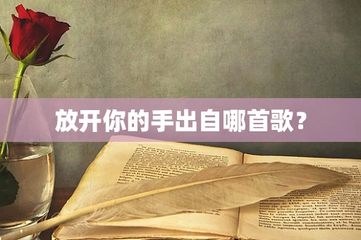 放开你的手出自哪首歌？