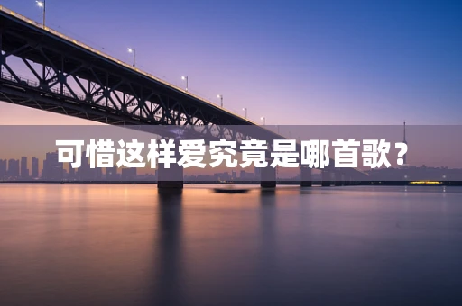 可惜这样爱究竟是哪首歌？