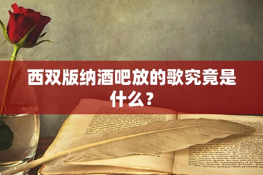 西双版纳酒吧放的歌究竟是什么？