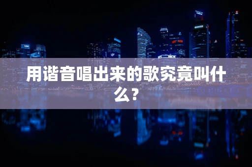 用谐音唱出来的歌究竟叫什么？