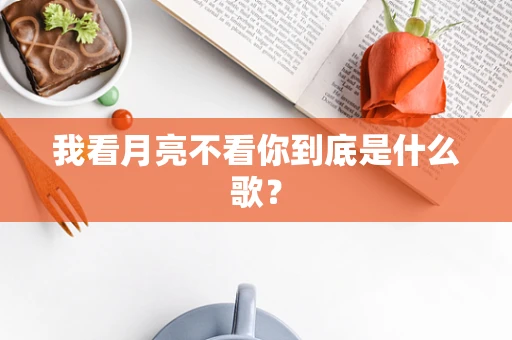 我看月亮不看你到底是什么歌？