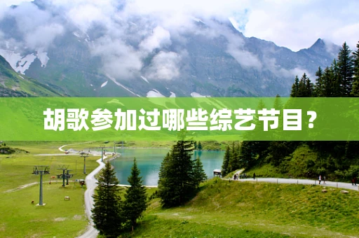 胡歌参加过哪些综艺节目？