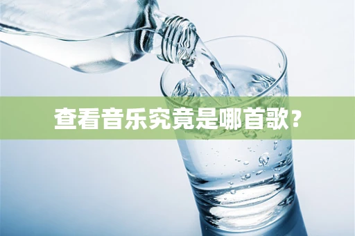 查看音乐究竟是哪首歌？
