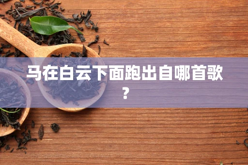 马在白云下面跑出自哪首歌？