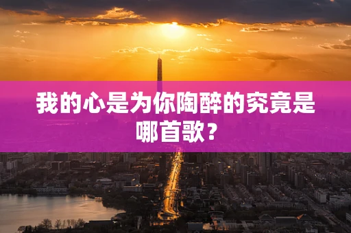 我的心是为你陶醉的究竟是哪首歌？