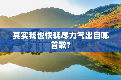 其实我也快耗尽力气出自哪首歌？