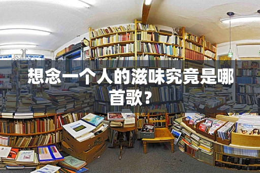 想念一个人的滋味究竟是哪首歌？