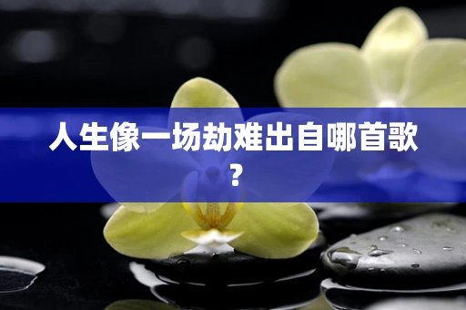 人生像一场劫难出自哪首歌？