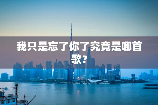 我只是忘了你了究竟是哪首歌？