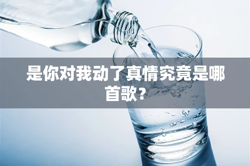 是你对我动了真情究竟是哪首歌？