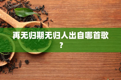 再无归期无归人出自哪首歌？