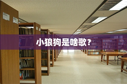 小狼狗是啥歌？