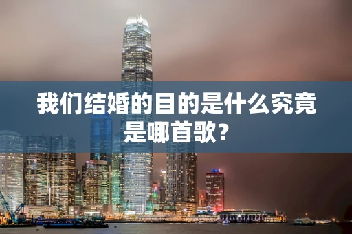 我们结婚的目的是什么究竟是哪首歌？