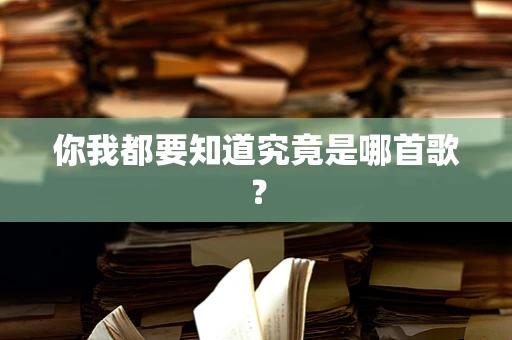 你我都要知道究竟是哪首歌？