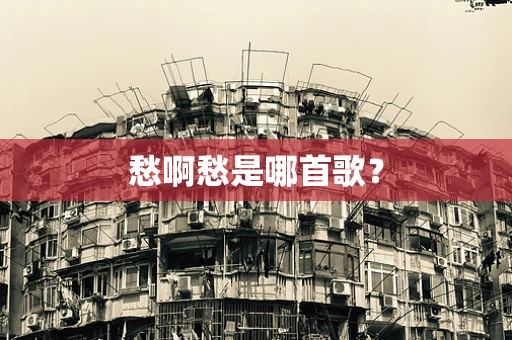 愁啊愁是哪首歌？
