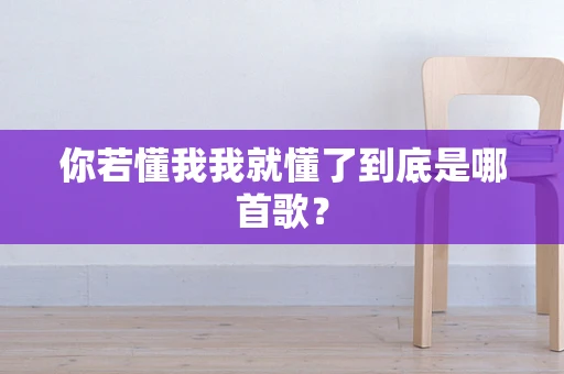你若懂我我就懂了到底是哪首歌？